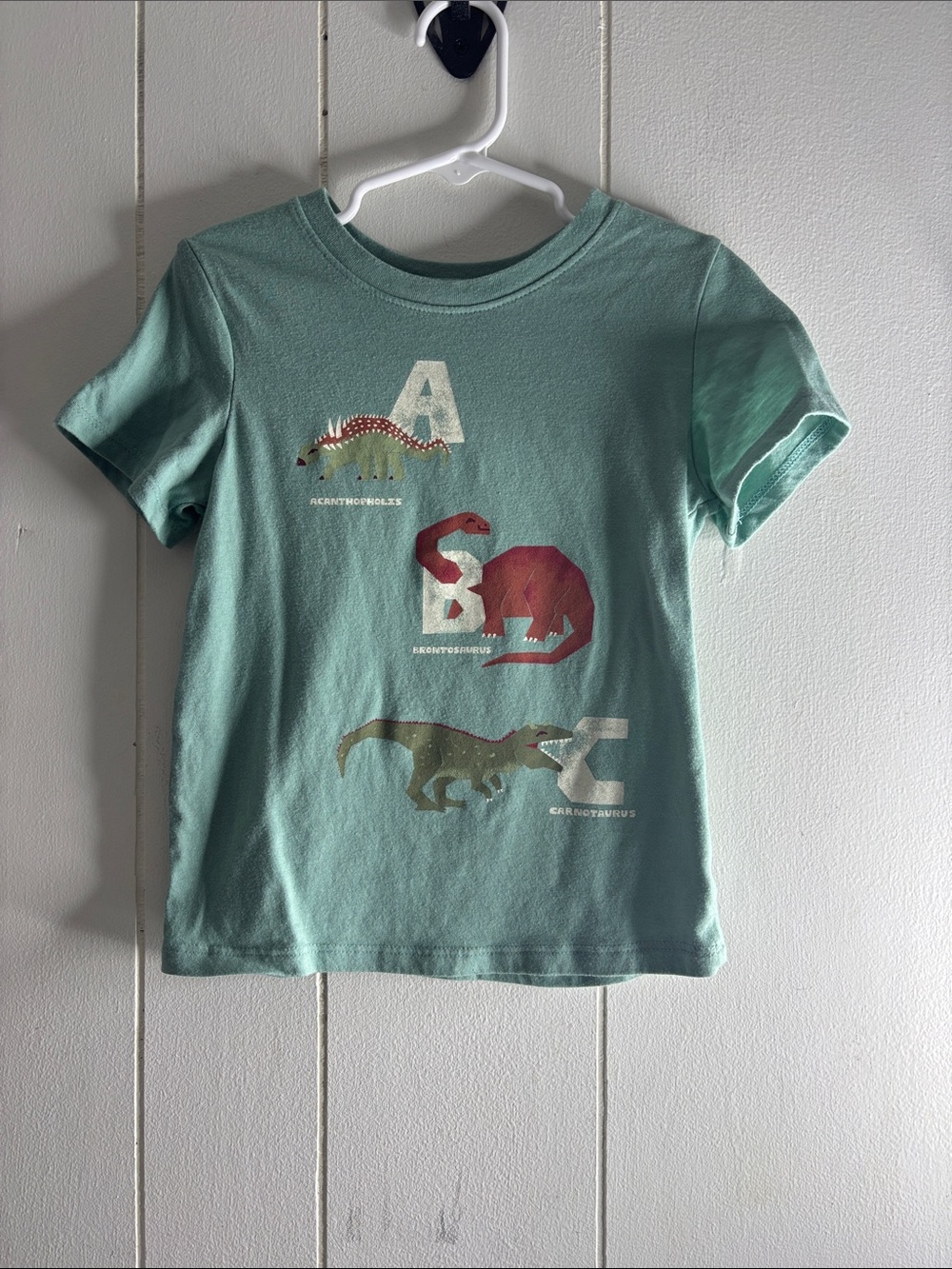 490 - Kids' Dinosaur Graphic Tee - Light Teal